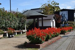 鮮やかな赤いサルビアの花が咲く花壇の奥に、東屋や小さな白い建物があり、さらにその背後には円谷幸吉選手の肖像が大きく掲げられた建物が見える、晴天の日のメモリアルパークの風景を捉えた写真