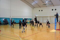 広々とした体育館のコートで、黒いウェアを着用した女性チームがネット越しにボールをアタックしたりレシーブしたりして熱戦を繰り広げている、バレーボールの試合風景の写真