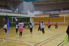 広々とした体育館で、ピンクやオレンジのゼッケンを着用した男女混合チームが、ネット越しに白く柔らかいボールをアタックし合う熱戦を繰り広げている、生涯スポーツとして親しまれるバレーボール大会の試合風景の写真