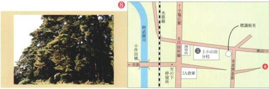 右：青空を背景に、うっそうと茂る大きな木々の写真、右：その場所を示す阿武隈川沿いの道路や駅、目印となる施設が描かれた地図のイラスト