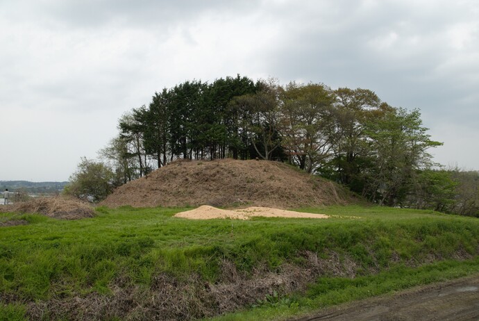 青々とした草地の後ろに、茶色く枯れた草に覆われたこんもりとした小高い丘があり、その頂上付近には密に生い茂る緑の木々が立ち並んでいる団子山古墳の写真