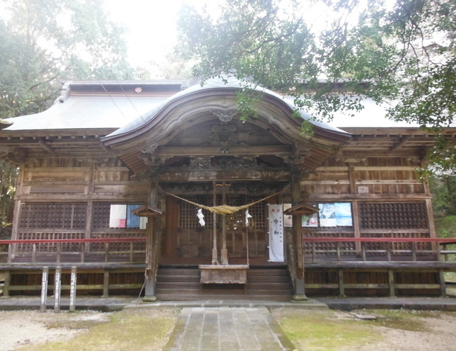 日光が差し込む森の中に立つ、木造で複雑な曲線を描く屋根を持つ、古い神社拝殿の正面全景を捉えた写真