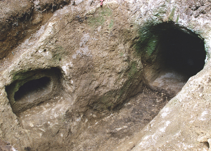 2つの横穴状の開口部が不規則に穿たれた土質の壁面に並び、内部へ向かって滑らかに削られた曲面や掘削痕の凹凸が生々しく示され、土色と湿り気のある質感が重層的に広がっている様子を撮影した写真
