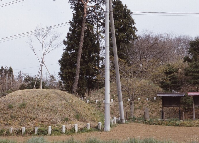 草木が茂る林を背景に、手前には電柱と案内板が建ち、土がむき出しになった茶色い地面と土が盛られた古墳らしき小山がある写真