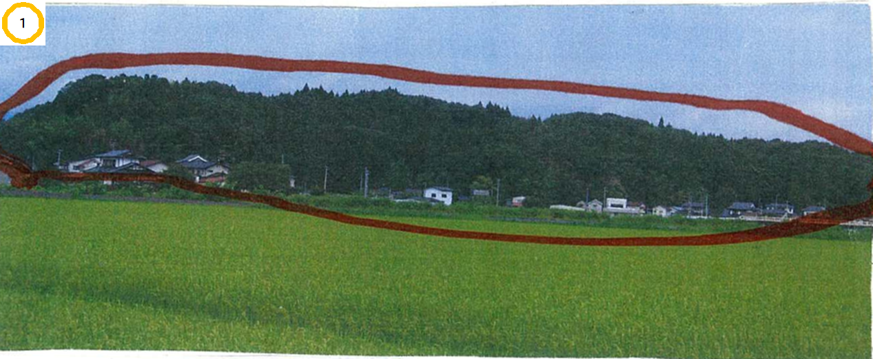 稲村城があった林を離れた場所から撮影した写真
