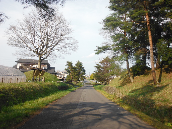 まっすぐなアスファルトの道が奥へと続く道沿いに、こんもりとした須賀川一里塚があり、周辺には大きな落葉樹やビニールハウス、背の高い木が並んだのどかな風景を写した写真