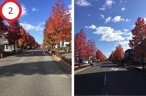 澄み渡る青空の下で鮮やかに赤く色づいた並木道が道路の両側に整然と続き、遠くまで見通せる直線道路と住宅街の風景を左右二つの異なるアングルから捉えることで秋の深まりを感じさせる、奥行きのある風景写真