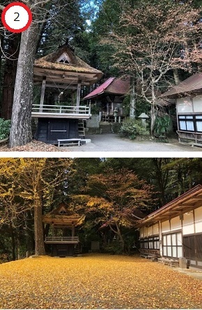 （上）茅葺き屋根の鐘楼がある静かな寺院の境内の写真、（下）地面一面が鮮やかな黄色の銀杏の落ち葉で埋め尽くされた秋の境内の写真