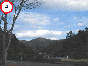 葉を落とした大きな木が左側に佇み、その奥にはなだらかな稜線を描く山々が見える、穏やかな風景の写真