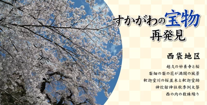 「すかがわの宝物 再発見 西袋地区」というタイトルの横に、澄み渡るような青空を背景にして、画面いっぱいに淡いピンク色の桜の花が満開に咲き誇っている美しい風景を円形に切り抜いて配置している、地域の魅力を伝える写真