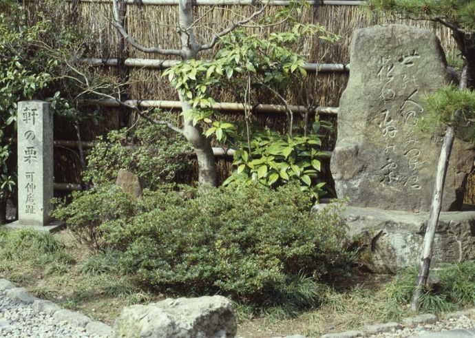 庭の一角で大きな自然石の碑と細身の石標が植栽の間に据えられ、刻まれた文字や石肌の質感が緑とともに際立つ様子を捉えた軒の栗句碑の写真