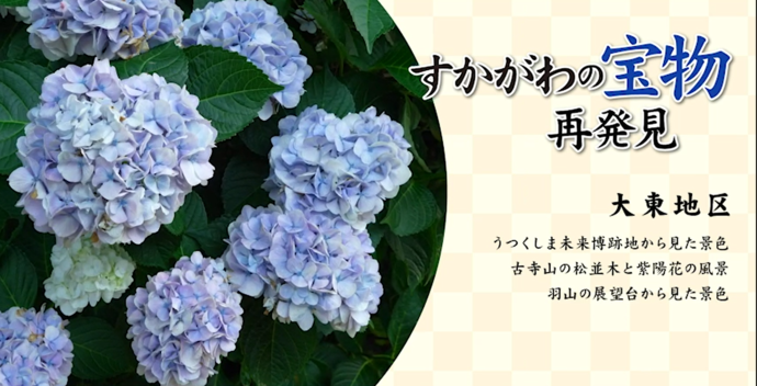 「すかがわの宝物 再発見 大東地区」というタイトルの横に、淡い紫色や青色の紫陽花が、瑞々しく豊かな緑の葉に囲まれて美しく咲き誇っている初夏の風景を円形に切り抜いて配置している、地域の魅力を伝える写真
