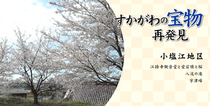 「すかがわの宝物 再発見 小塩江地区」というタイトルの横に、淡いピンク色の桜が青空に向かって満開に咲き誇り、その下には民家の瓦屋根がわずかに覗いている春ののどかな風景を円形に切り抜いて配置している、地域の魅力を伝える写真