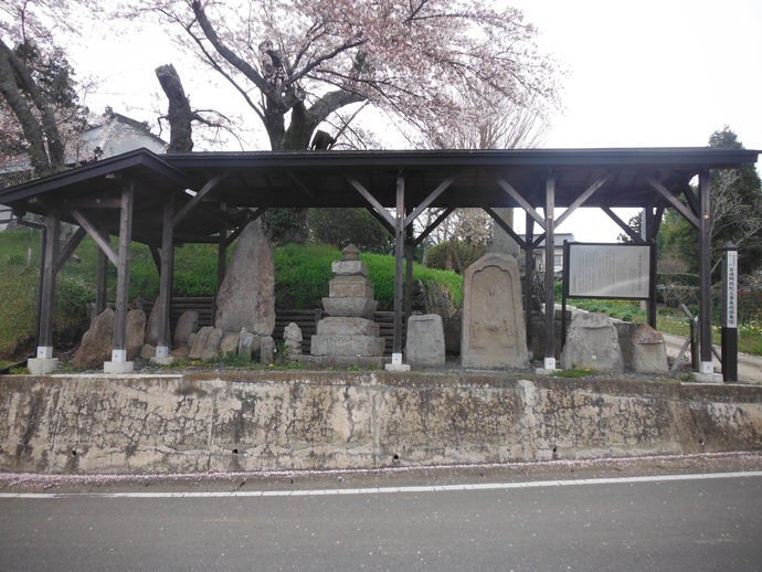 道路沿いの桜の木が植えられた法面を背景に、屋根下に大小さまざまな古い石塔や石碑が並んでいる三尊板碑群の写真