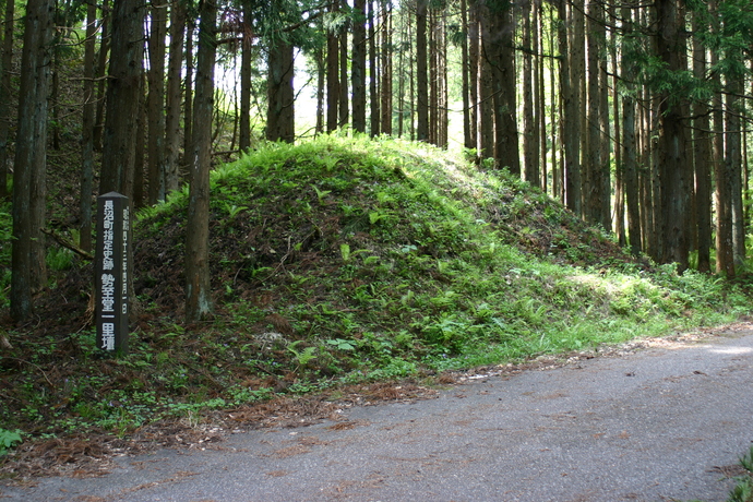 杉木立が並ぶ静かな森の中に、シダ植物などの緑に覆われたこんもりとした丸い塚があり、その傍らに「長沼町指定史跡 勢至堂一里塚」と記された木製の標柱が立っている写真
