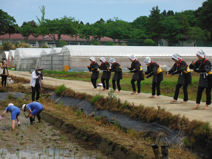 田植え作業を進める人々の前で揃いの装束を着た踊り手たちが歩調を合わせて腰を落とし手振りを揃えながら豊作を祈るような節度ある所作を披露している様子の写真