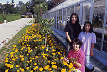 温室の外側に沿って黄色い花が咲く花壇が並び、その前で女性3人が立ち、背景にはガラス張りの温室と舗装された通路、奥には緑の植え込みや木々が広がる屋外の園芸施設の写真