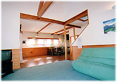 青いカーペットが敷かれテレビ、ソファが置かれたリビングから、部屋続きのフローリング敷きのダイニングキッチンが見える写真