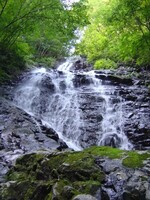 緑の木々の間のごつごつした岩肌を、幾筋もの水が勢いよく流れている幻の大滝を下から見上げて撮影した写真