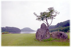 2つの大きな岩の間に一本の木が立っている芝生広場の奥に、湖と山が見える写真