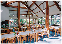 高い天井を支える太い木製梁の構造が印象的な開放感あふれる室内に、白い天板のテーブルと木製の椅子が整然と並び、大きな窓から差し込む自然光が明るい、やまゆり荘レストランの室内写真