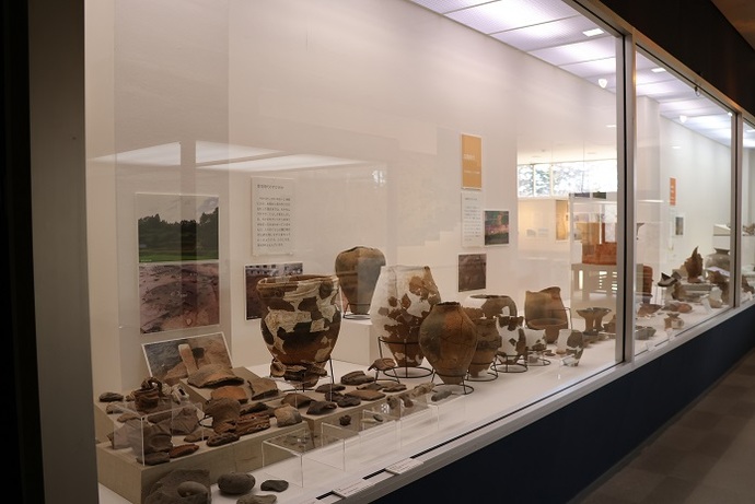 博物館の明るく清潔な展示ケース内に、発掘された大小様々な形状の土器や土器の破片が整然と並べられており、背後の壁面には解説パネルや発掘現場の写真が添えられた、土器の展示風景を捉えた写真
