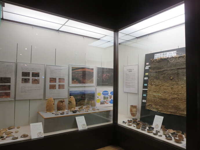 大型のL字型ガラスケースの中に土器の破片や地層の剥ぎ取り標本、発掘現場の様子を伝える多数の解説パネルや写真が整然と並べられた、遺跡の出土品や調査記録を紹介する展示風景の写真