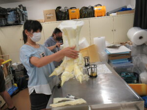 女子塾生が、ステンレス製の作業台の上でウレタン素材を用いて作られた怪獣の鋭い爪を持つ巨大な足のパーツを両手で支え持ち見つめている写真