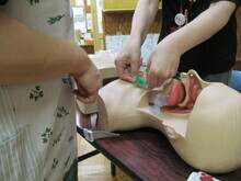 机の上に置かれた人体模型の上半身部分で、口腔から気管までの構造が見える状態で、複数の手が器具を使って気道確保の処置を練習している様子の写真