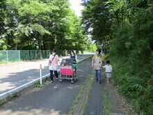 緑豊かな並木道に沿って続くアスファルトの歩道を、職員と思われる二人がベビーカーを押しており、その横を職員と子どもが歩いている訓練の様子の写真