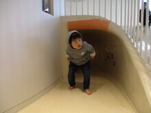 室内のトンネルがある遊具から外の様子を伺うように出てきた幼い子どもを撮影した写真