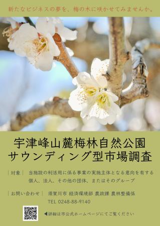 宇津峰山麓梅林自然公園サウンディング型市場調査のチラシ