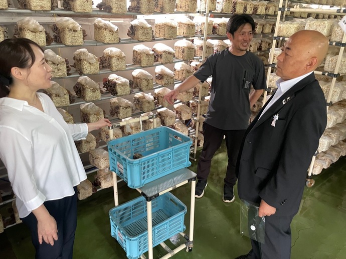 多くの菌床ブロックが並ぶきくらげ栽培施設の棚の前で、生産者の男性と樽川千香子 代表取締役社長が、視察に訪れた大寺市長に対して設備や生育状況を説明している様子の写真