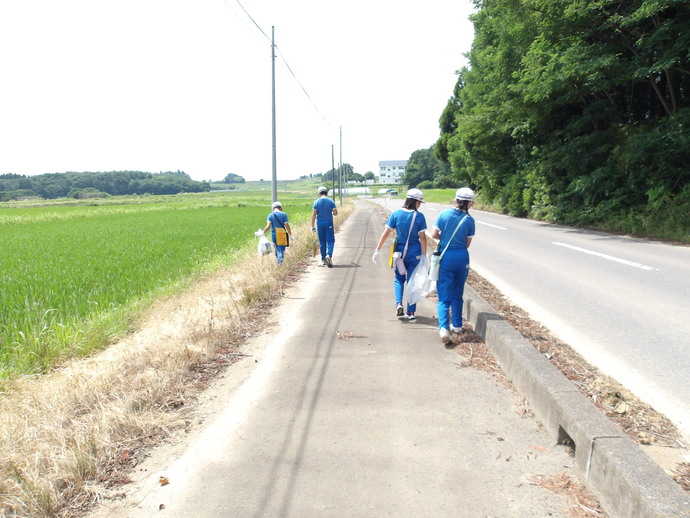 田んぼ沿いの舗装された歩道で、青い服と白い帽子を着けた複数の人々が、手にごみ袋や黄色いバッグを持ちながら歩いており、右側には車道と緑の木々、左側には広がる水田が見える様子の写真