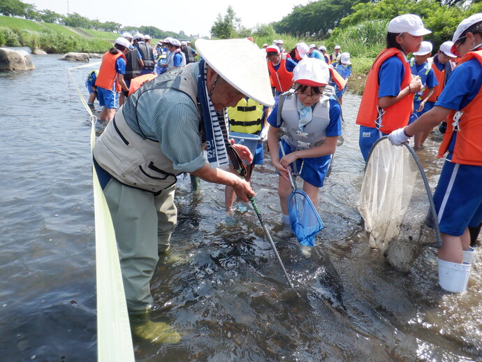川の浅瀬で多数の子どもがライフジャケットと帽子を着用し、網を使って水中の生物を採集する体験活動を行う様子の写真