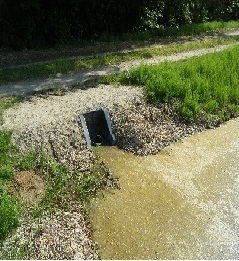 未舗装の道路脇にある緑豊かな草地の斜面に、四角い排水口が設置されており、そこから濁った水が手前の平坦な地面へと流れ出している様子を捉えた写真