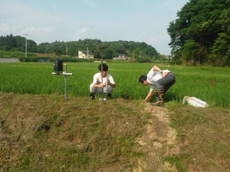 青々とした稲が育つ広大な田んぼの縁にて、白いTシャツ姿の若者と作業服に長靴を履いた男性が、地面に設置された黒い円筒形の観測機器の近くで屈みながら調整や確認作業を行っている様子の写真