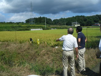 黄金色に色付き始めた広大な田んぼの縁に二人の男性が立ち、遠くにある観測機器や豊かな農村の風景を眺めながら、今後の作業や調査について話し合っている様子の写真