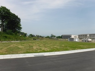 手前に舗装されたアスファルトの道路があり、その奥に縁石で区切られた広々とした芝生広場が広がり、さらに遠方には数棟の建物や木々が広がる開放的な広場の写真