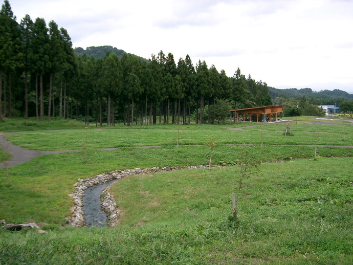 広大な芝生広場の中を細い水路が通り、奥には背の高い杉の林と木造の屋根付きスペースがある大滝川公園の写真