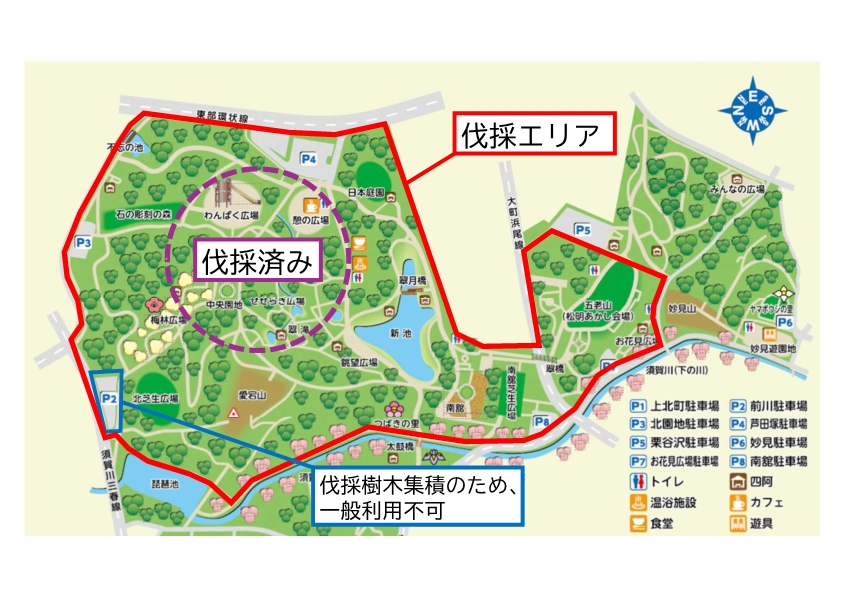 伐採エリア
