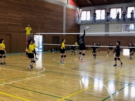 体育館のコートにて、試合形式の練習中、黒いTシャツを着用した女子生徒が、ネット際で高くジャンプしており、審判台から指導者が見守っている写真