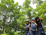 眩いばかりの鮮やかな新緑が広がる森を背にして、お揃いの紺色の体操着を着た3人の子どもたちが、カメラに向かって手を振ったりポーズをとったりしながら、晴れやかな表情で外遊びを楽しんでいる健やかな日常の一コマを捉えた写真