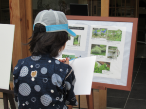 屋外にある木枠の掲示板に並ぶ植物写真の前で、帽子をかぶった子どもが熱心にノートに記入をしている写真