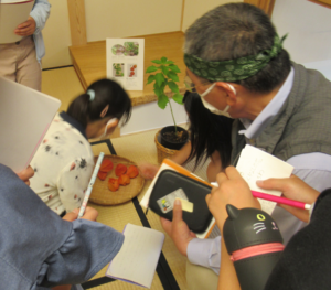 畳の上に置かれた鉢植えやほおずきの実を、ノートを手にした子どもたちが熱心に観察している様子の写真