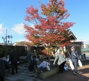 紅葉した木の下で複数の人々が落ち葉を拾い集め袋に詰めながら協力して清掃作業を進めている様子の写真