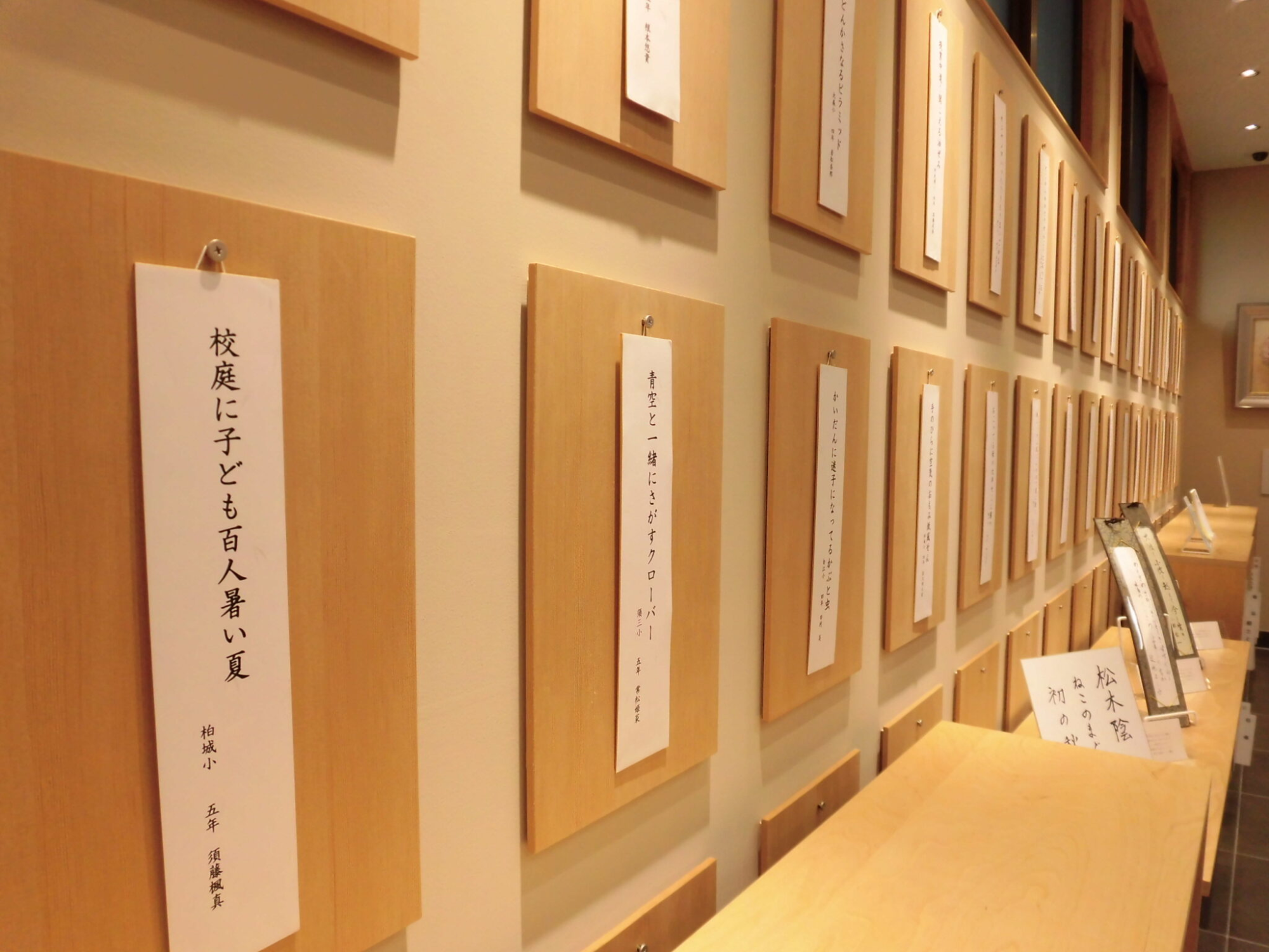白い壁に、等間隔で上下2列にたくさん並んだ木のパネル一つ一つに、俳句が印刷された短冊が1枚ずつかけられて展示されている写真