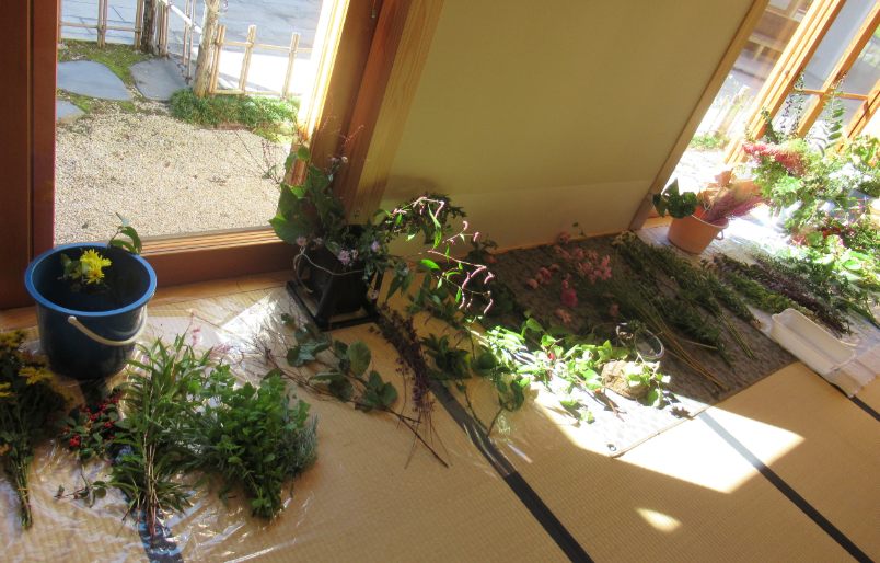 窓際の畳の上に多様な枝物や花材、バケツに入った生花などが並んでいる写真