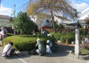 晴天の庭園で数人が低木の周囲にかがみ込み雑草取りや落ち葉集めを丁寧に進めながら環境整備に取り組んでいる様子の写真