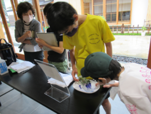 軒下のテーブルの前で数人の子どもたちが、皿に置かれた青い花を観察し記録している様子を捉えた写真